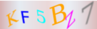 bintellix form capcha